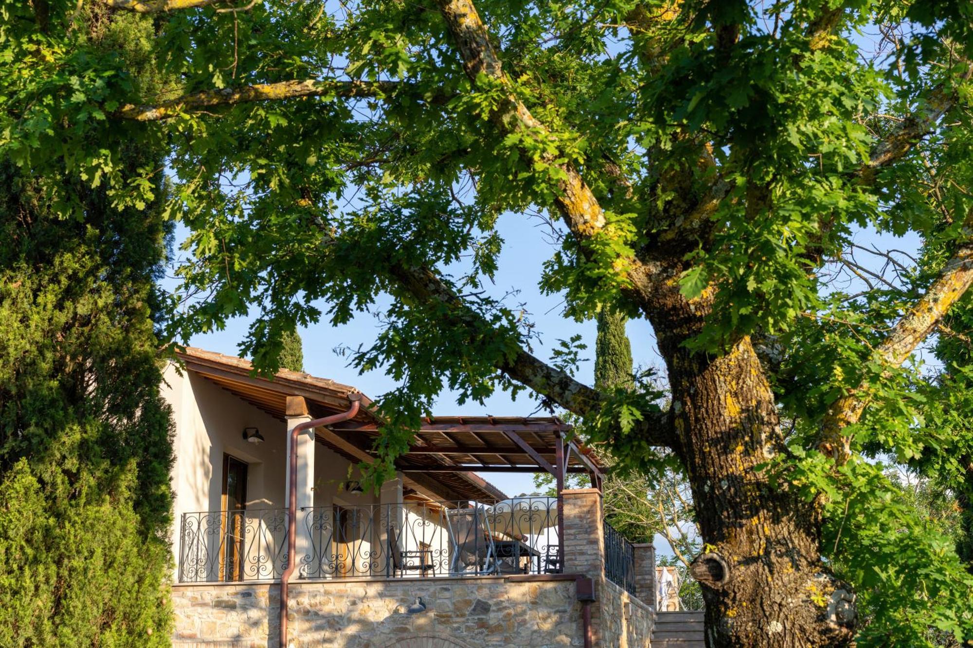 Torrevista - Opened 2022 Aparthotel Montaione Cameră foto
